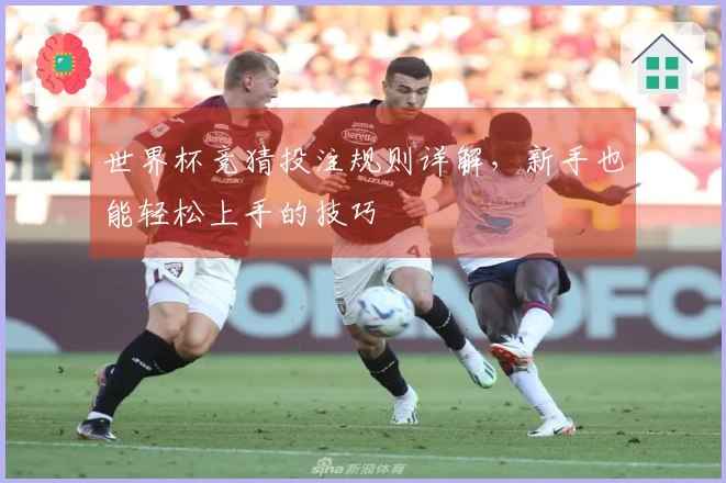 世界杯竞猜投注规则详解，新手也能轻松上手的技巧