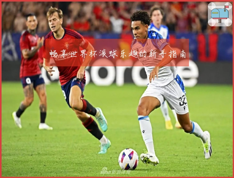 畅享世界杯滚球乐趣的新手指南