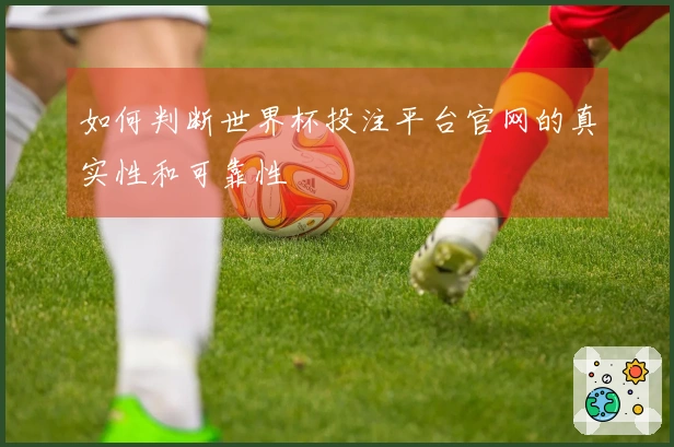 如何判断世界杯投注平台官网的真实性和可靠性