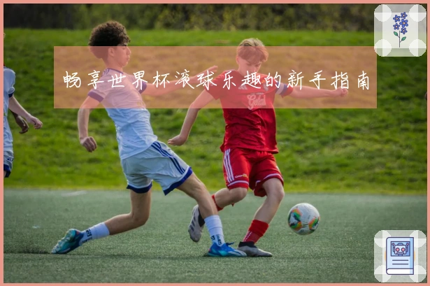 畅享世界杯滚球乐趣的新手指南